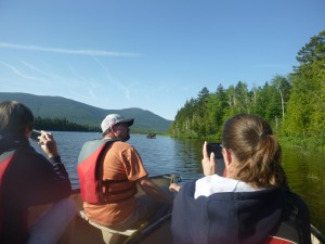 Canoe Moose Watching