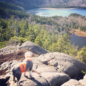 maine hikes