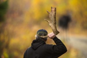 maine-wildlife-tours