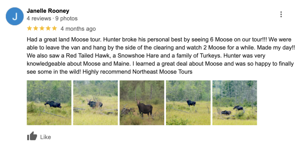 Google review from summer 2024 highly recommending northeast whitewater moose tours.