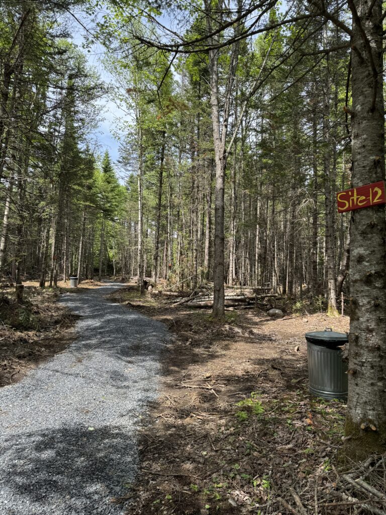 Upper campground photo looking up the path with red "Site 12" sign on the tree to the right.