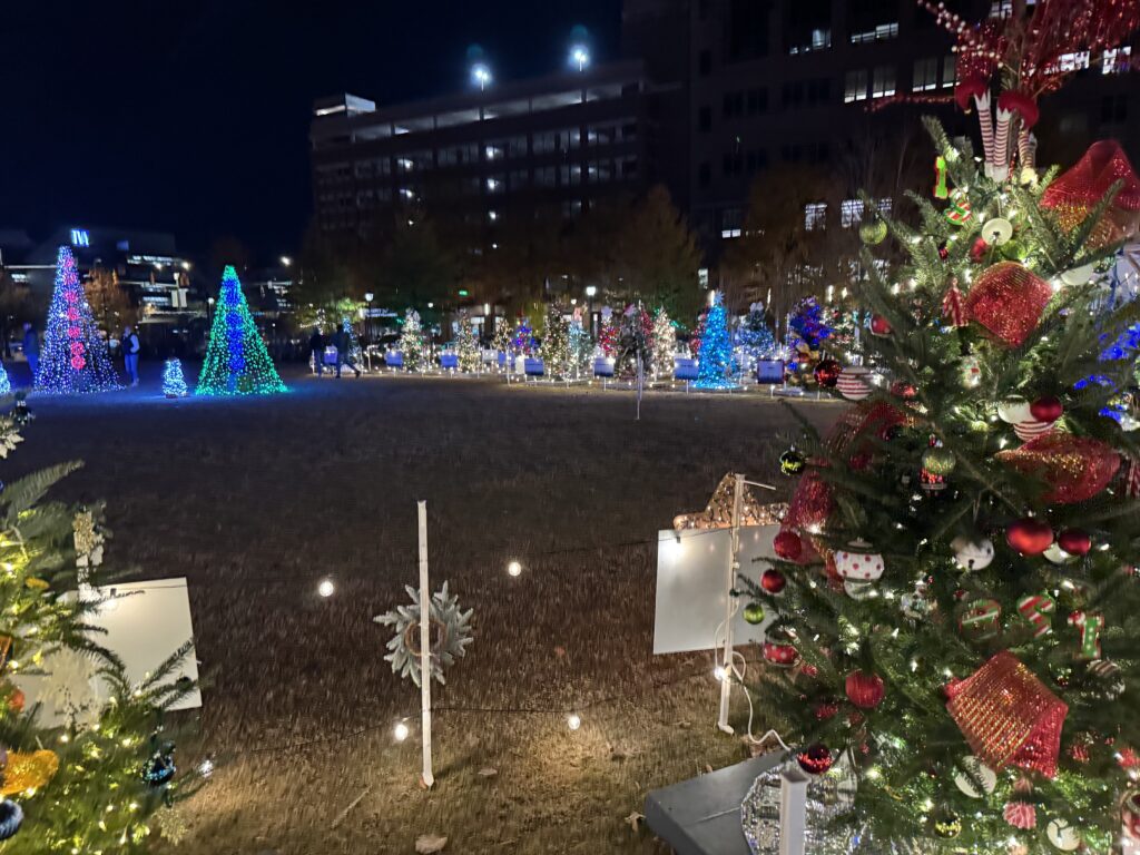 Christmas trees in a park all decorated with different colored lights