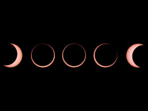 Photo of Solar Eclipse sequence. Credit: Rick Fienberg / Sky & Telescope