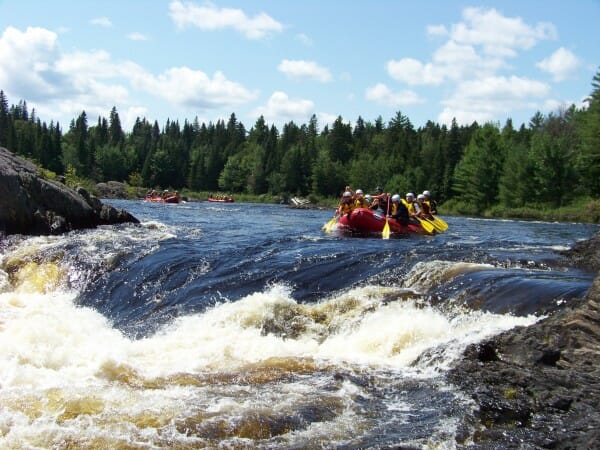 Whitewater Rafters in the Seboomook River about to approach a rapid