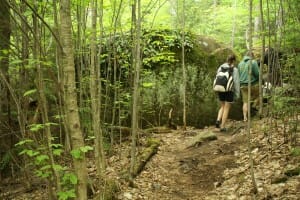 People walking through trail in Maine woods
