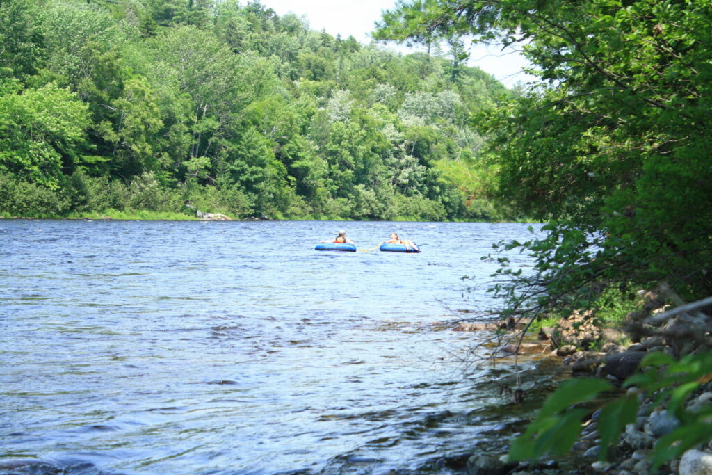 Two blue tubes floating down the Kennebec River in Maine in the summer