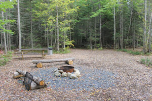 Camping site In The Maine Woods with a fire pit and benches